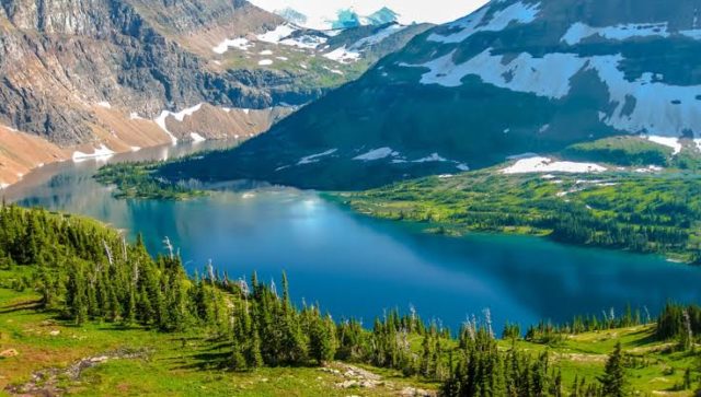 24 Best National Forests in America recommended for Tourists | Universe ...